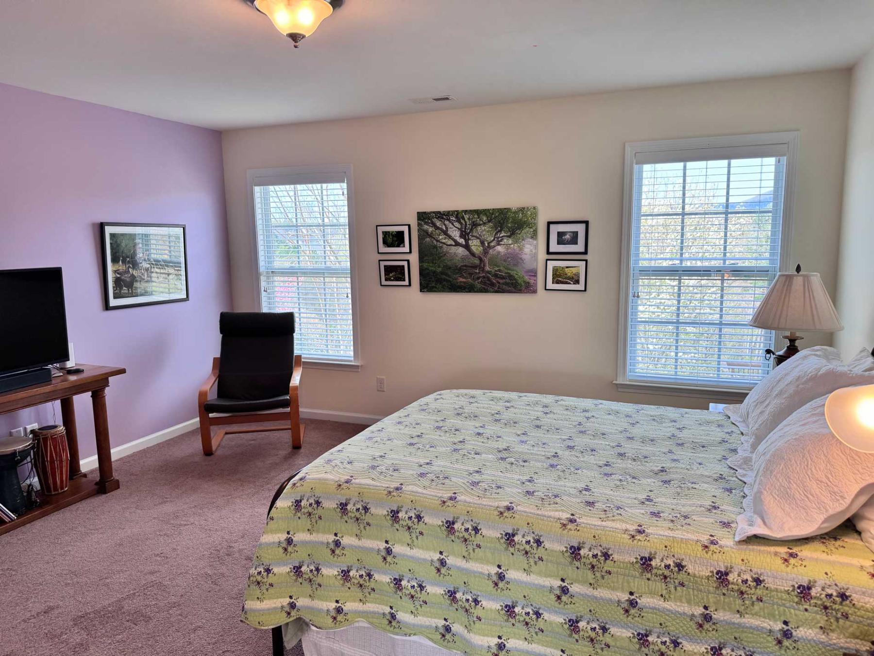 N AVL Home River Views - Image# 8