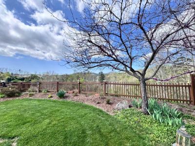 N AVL Home River Views - Image# 4