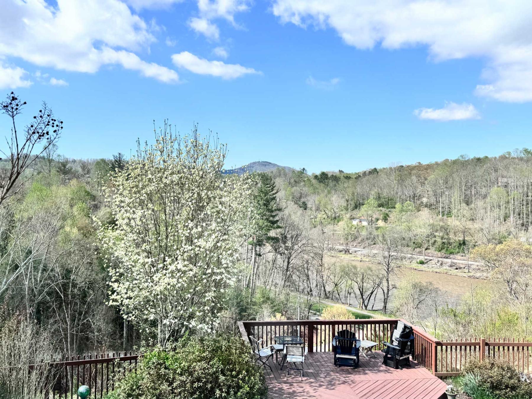 N AVL Home River Views - Image# 3