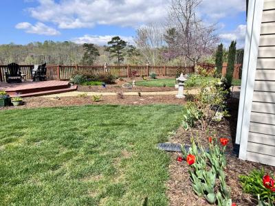 N AVL Home River Views - Image# 20