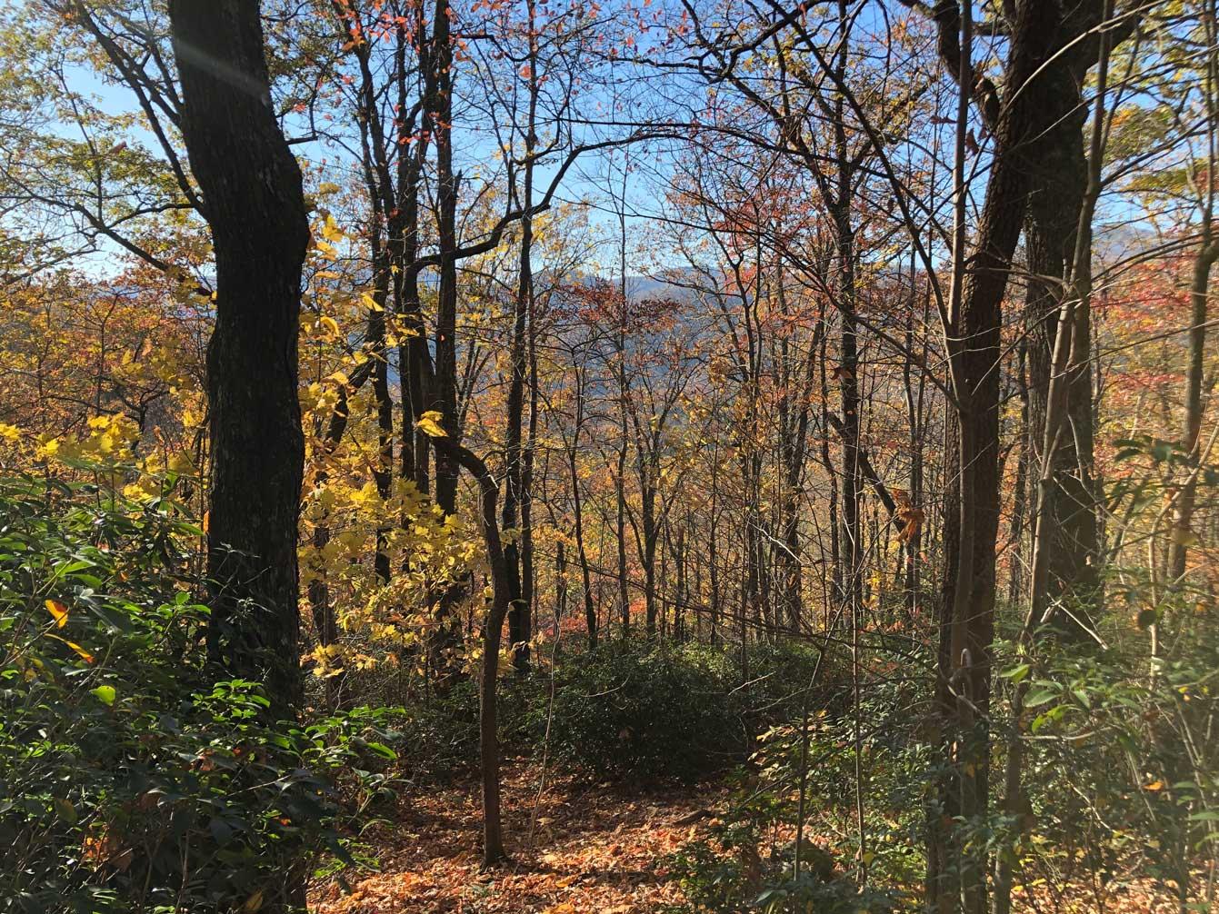 Shumont Road 3.46 acres - Image# 1