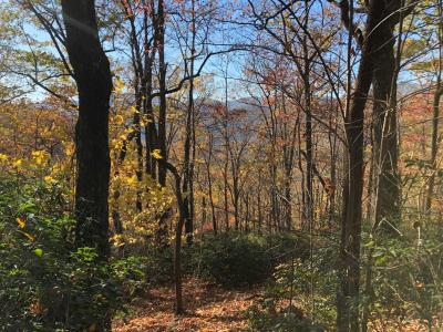 Shumont Road 3.46 acres