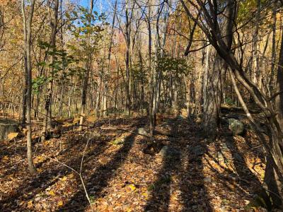 Shumont Road 3.46 acres - Image# 2