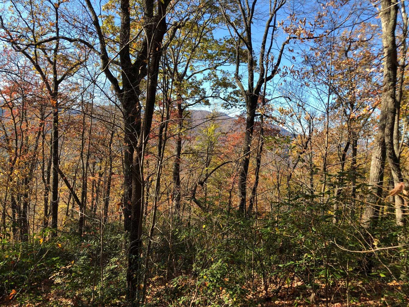 Shumont Road 3.46 acres - Image# 5