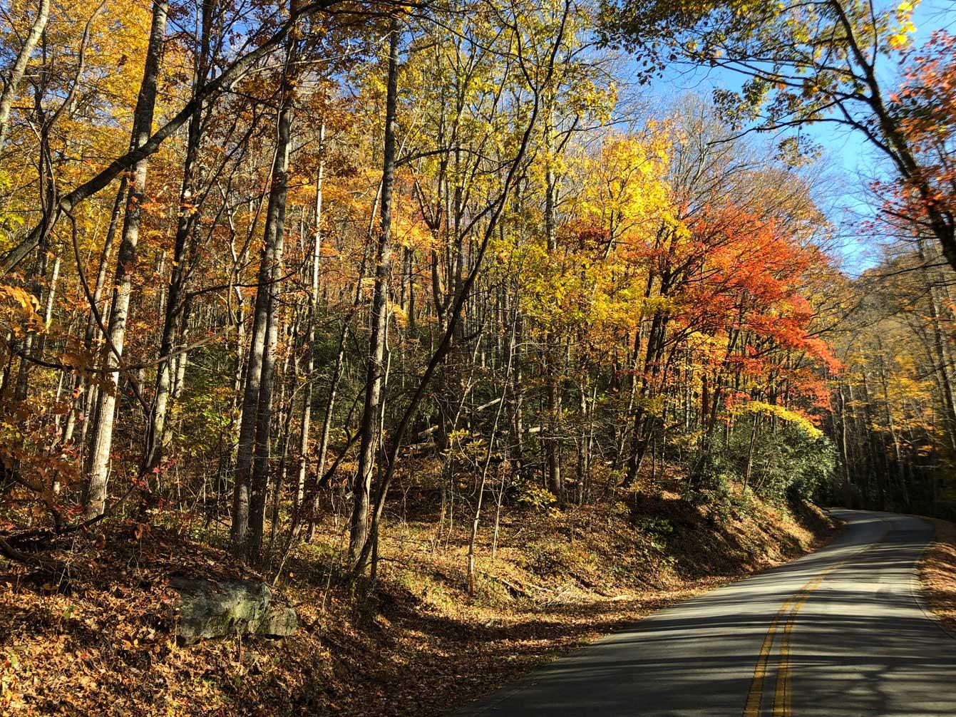 Shumont Road 3.46 acres - Image# 6