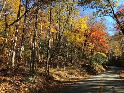 Shumont Road 3.46 acres - Image# 6