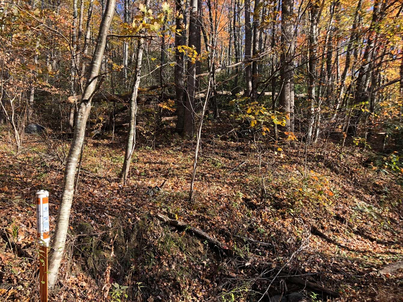 Shumont Road 3.46 acres - Image# 8