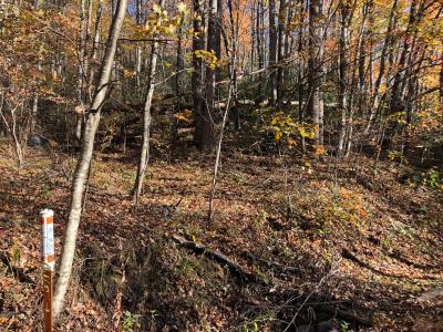 Shumont Road 3.46 acres - Image# 8