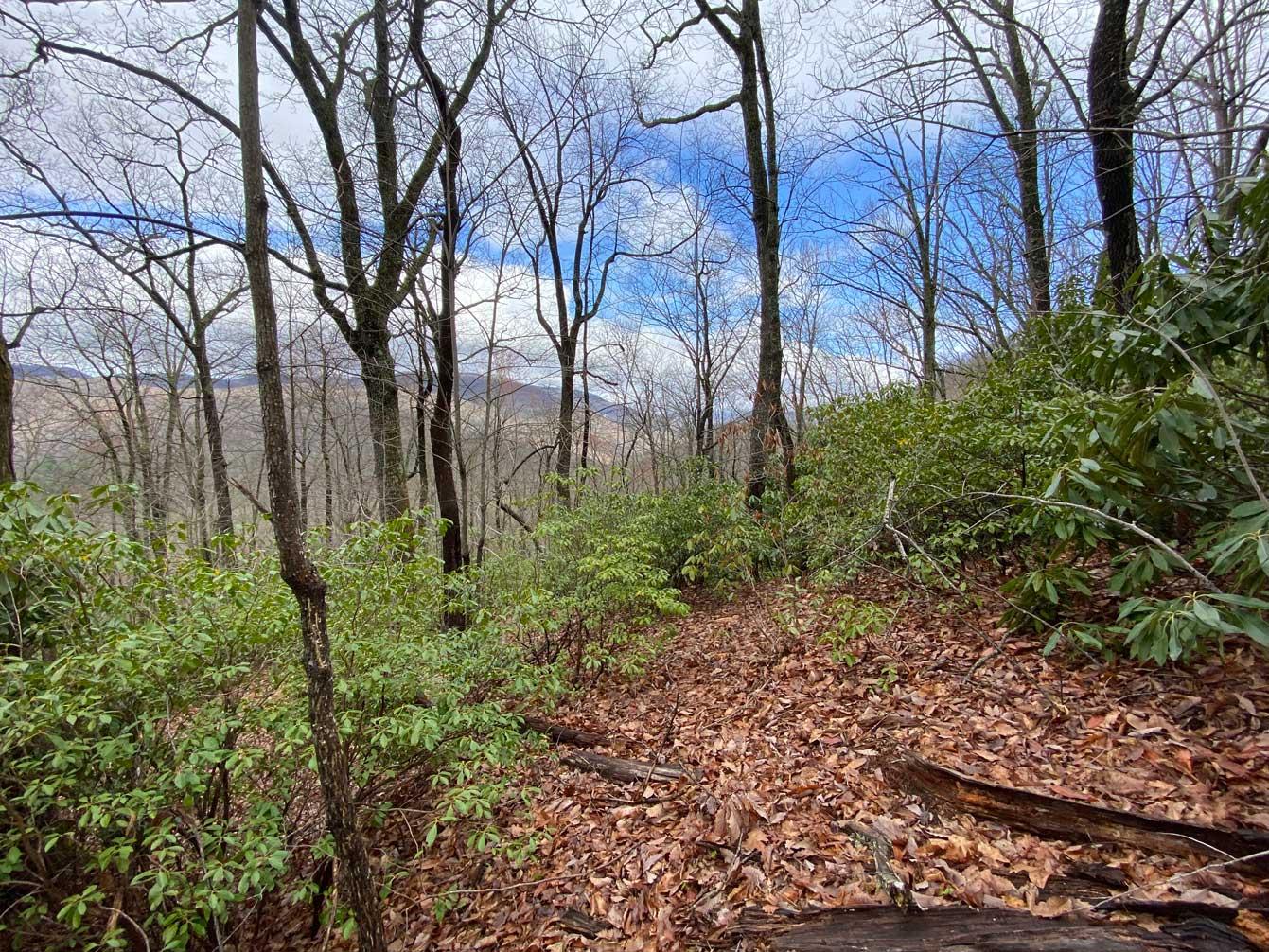 Shumont Road 3.46 acres - Image# 9