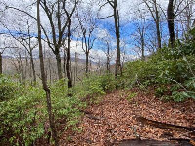 Shumont Road 3.46 acres - Image# 9