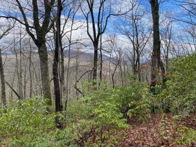 Shumont Road 3.46 acres - Image# 10