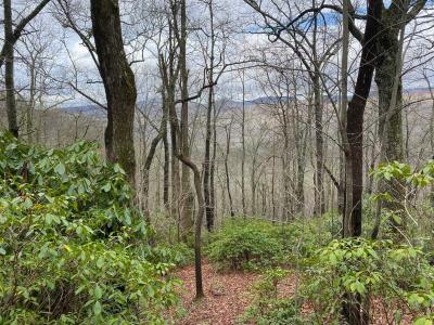 Shumont Road 3.46 acres - Image# 11