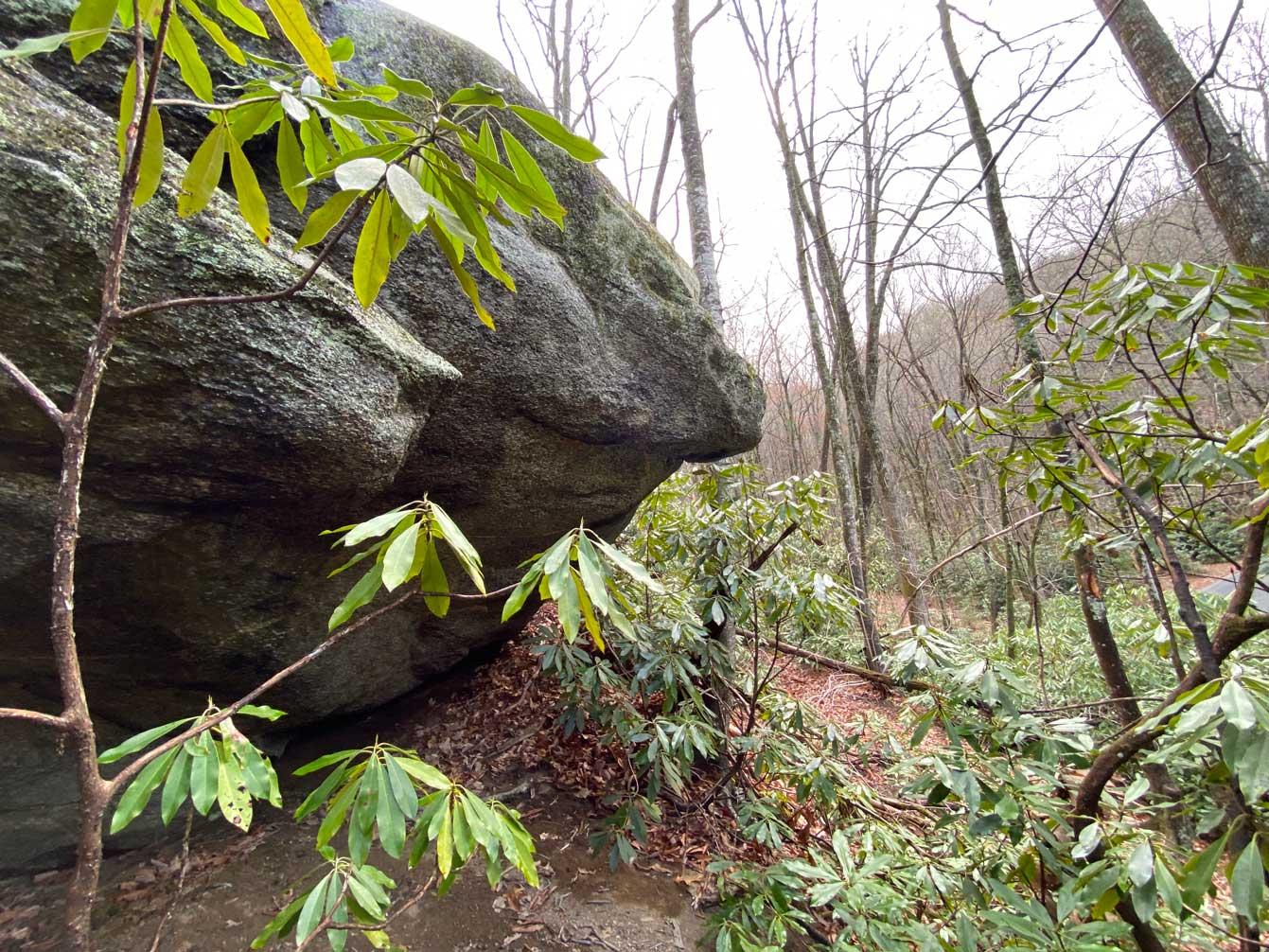 Shumont Road 3.46 acres - Image# 12