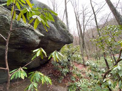 Shumont Road 3.46 acres - Image# 12