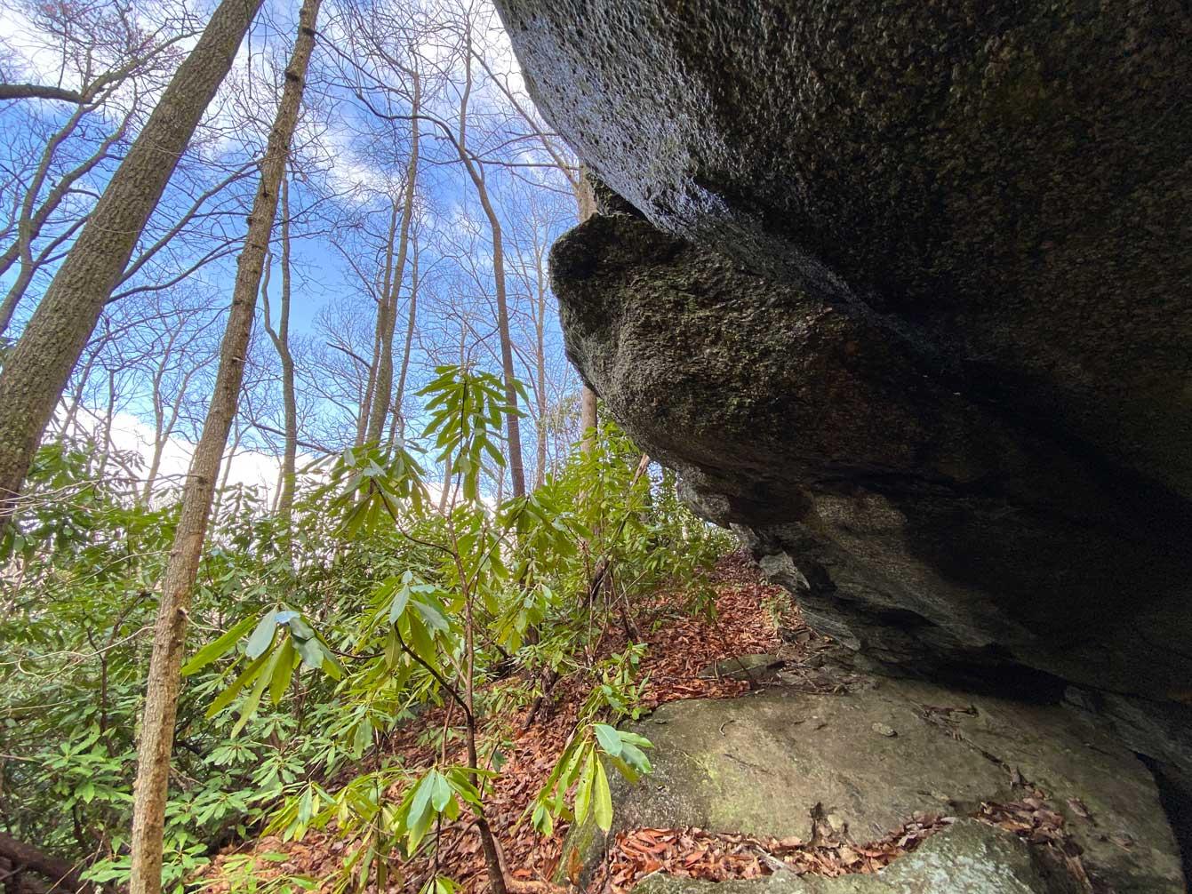 Shumont Road 3.46 acres - Image# 13