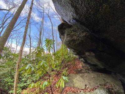 Shumont Road 3.46 acres - Image# 13