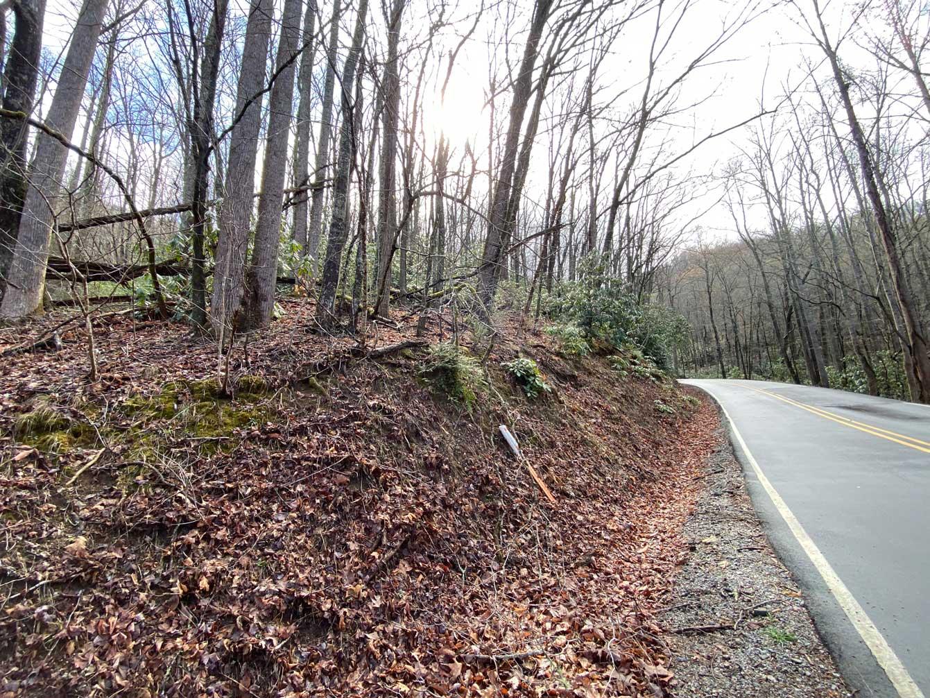 Shumont Road 3.46 acres - Image# 15