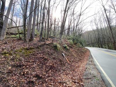 Shumont Road 3.46 acres - Image# 15