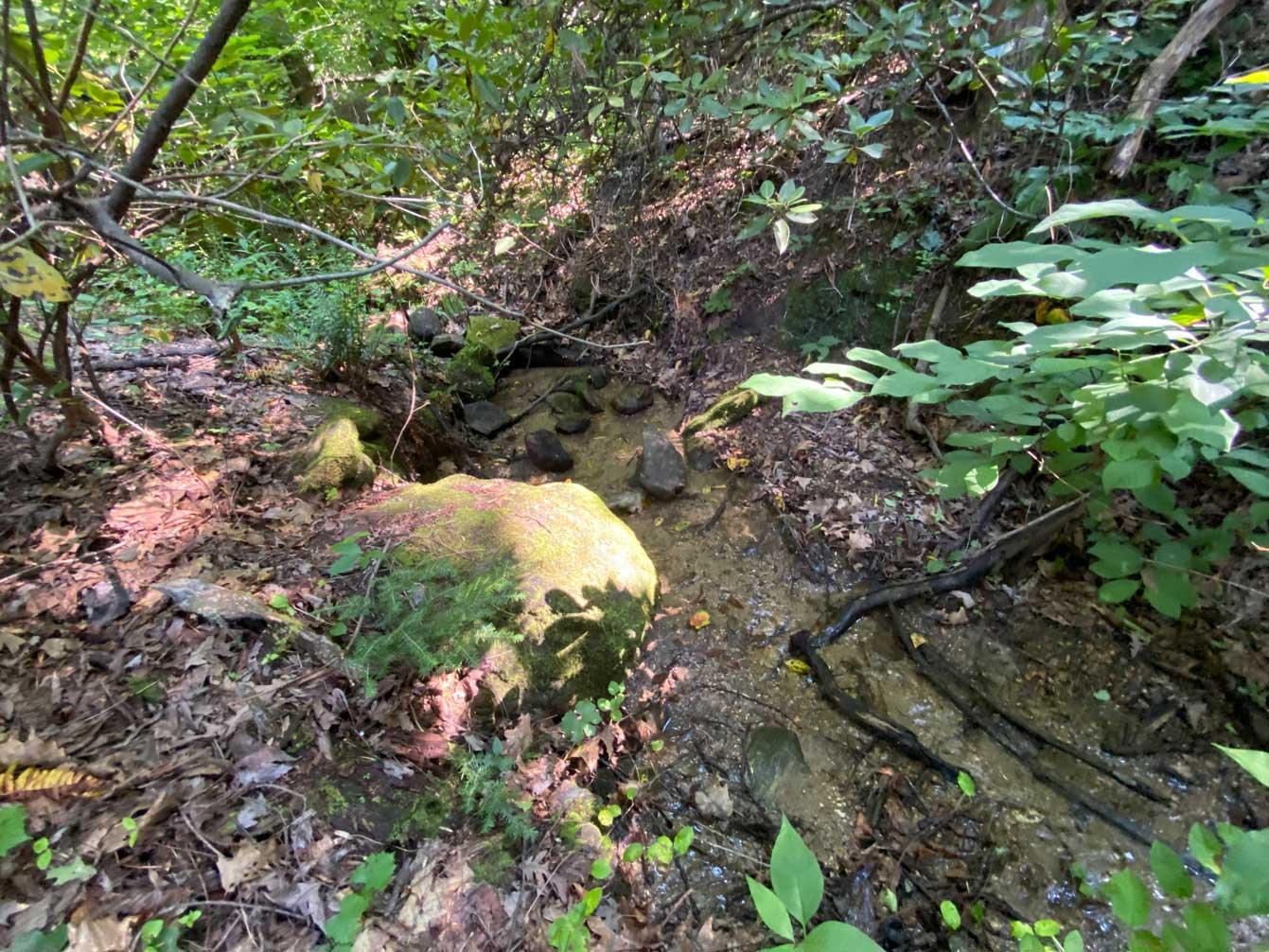 Lake Lure 11 acres - Image# 1