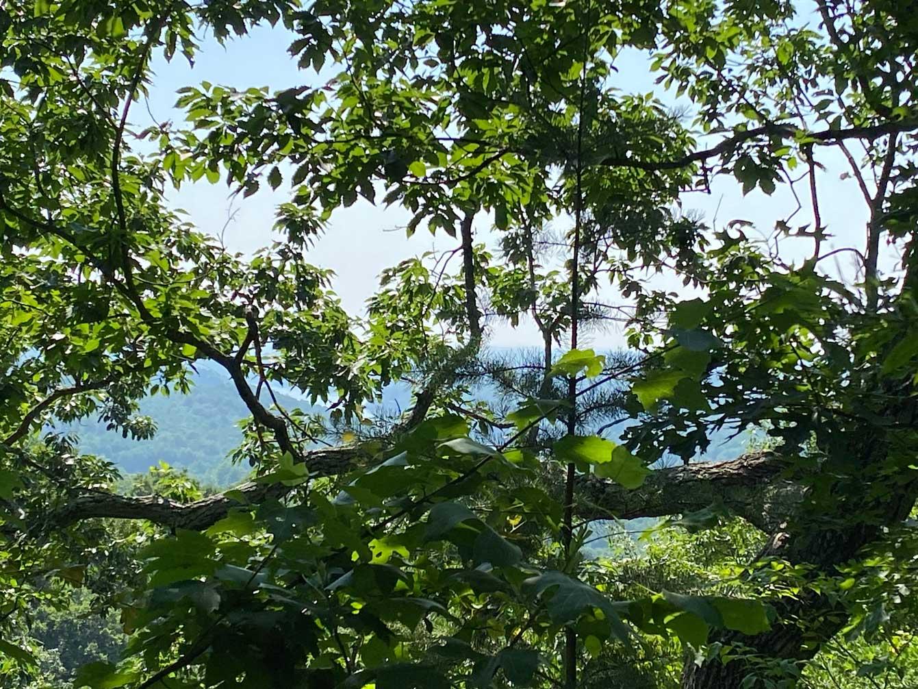 Lake Lure 11 acres - Image# 2