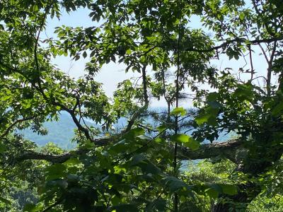 Lake Lure 11 acres - Image# 2