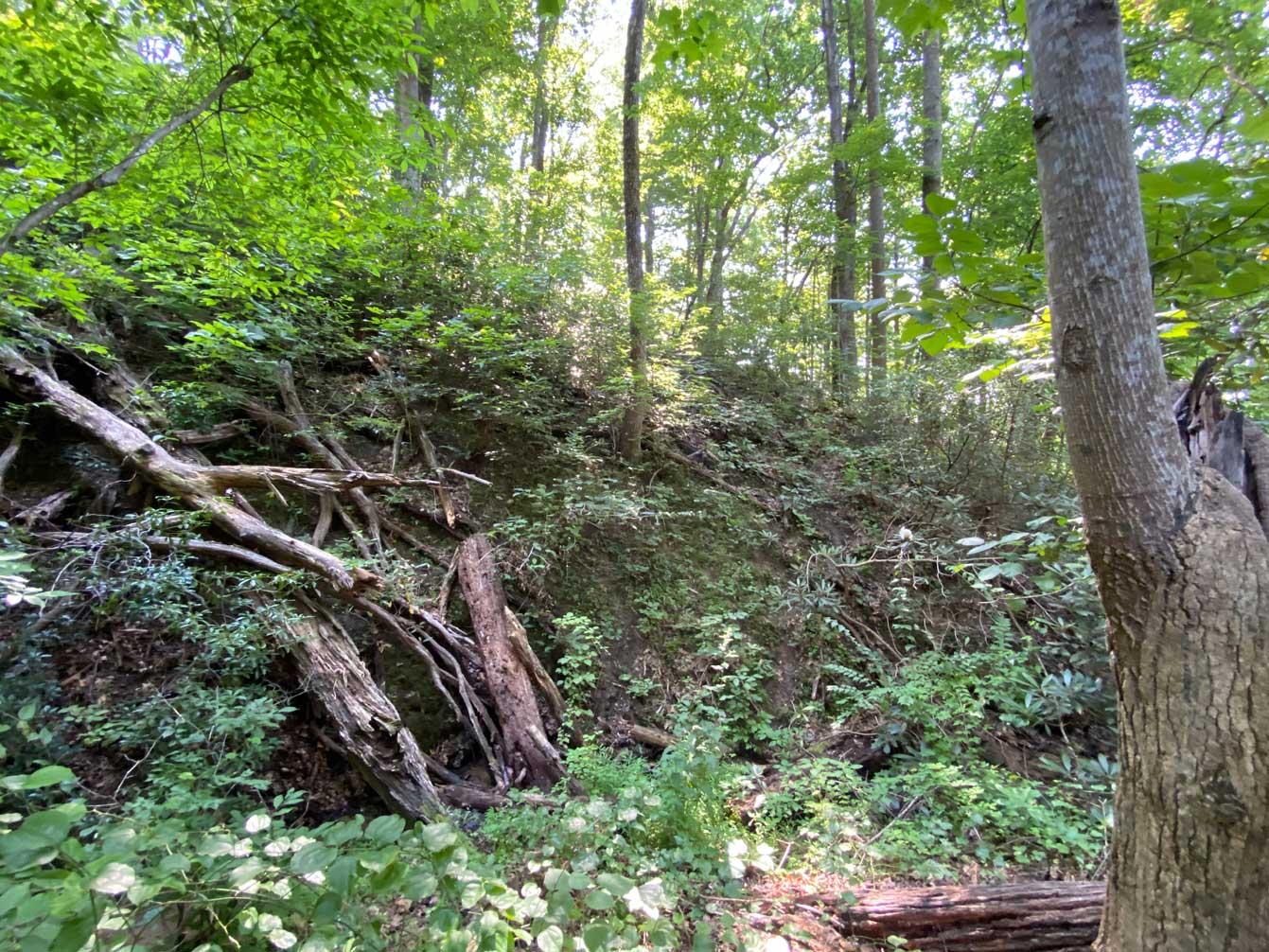 Lake Lure 11 acres - Image# 3