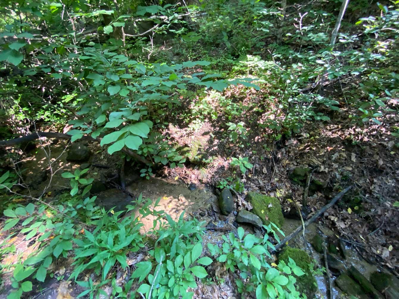 Lake Lure 11 acres - Image# 4