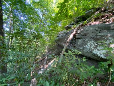 Lake Lure 11 acres - Image# 5