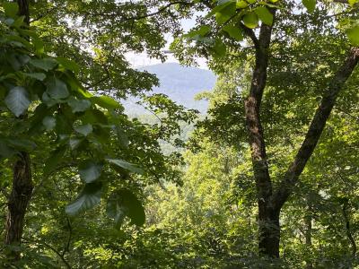 Lake Lure 11 acres - Image# 6