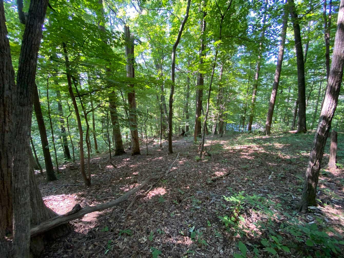 Lake Lure 11 acres - Image# 8