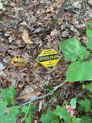 Lake Lure 11 acres - Image# 10