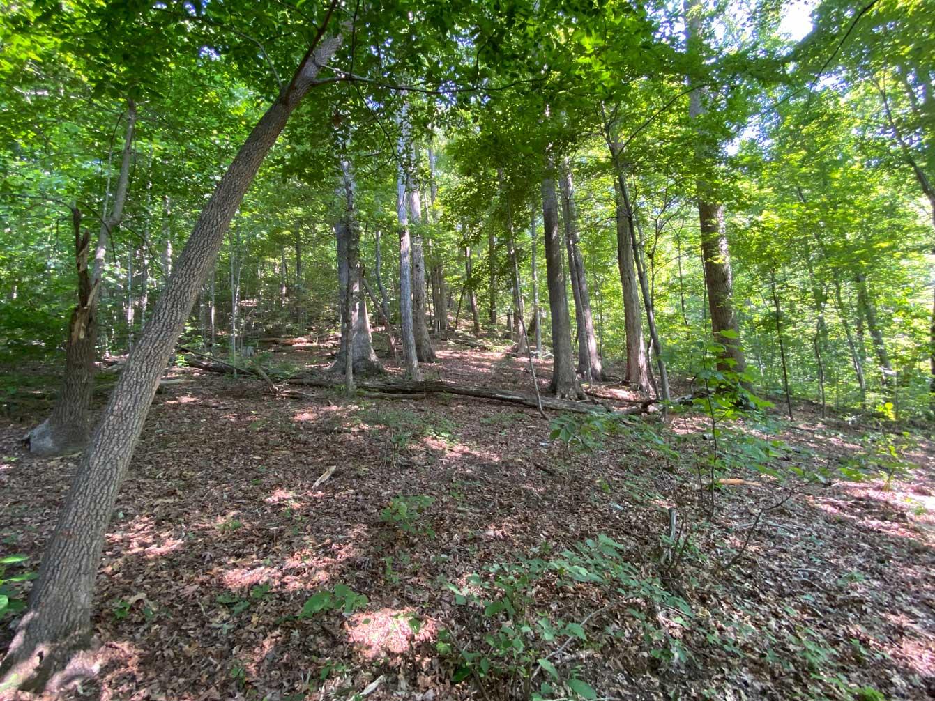 Lake Lure 11 acres - Image# 11