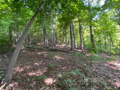 Lake Lure 11 acres - Image# 11