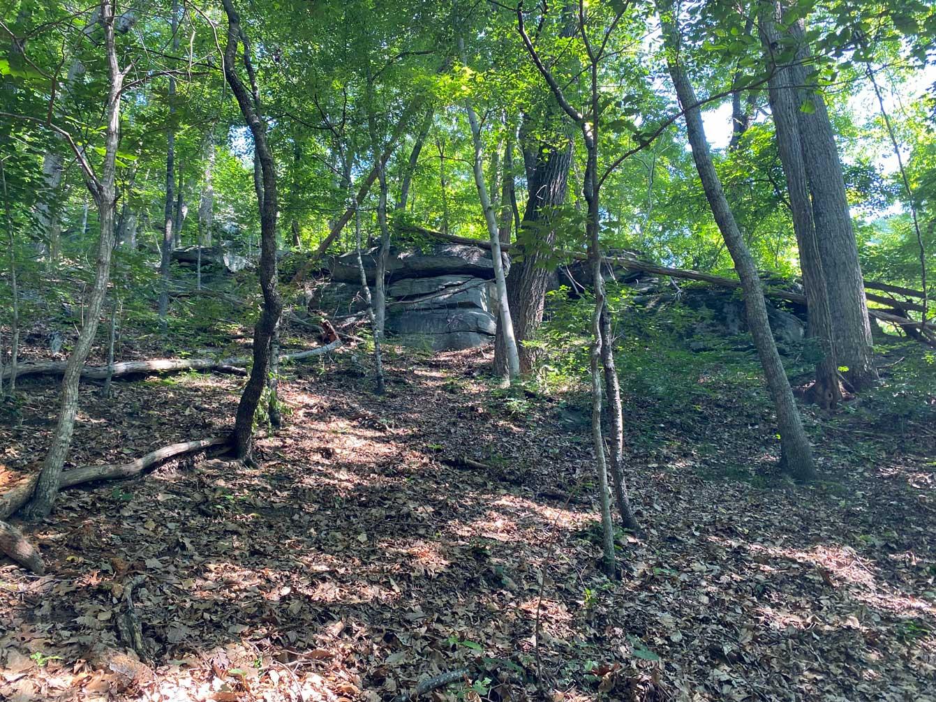 Lake Lure 11 acres - Image# 15