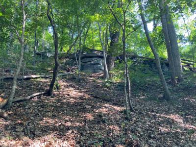 Lake Lure 11 acres - Image# 15