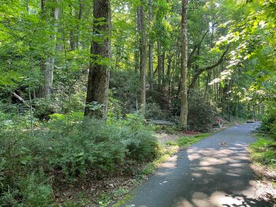 Lake Lure 11 acres - Image# 16