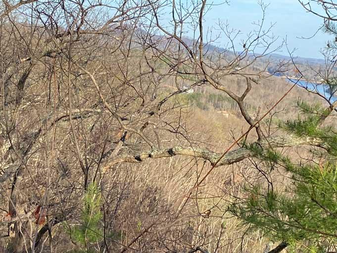 Lake Lure 11 acres - Image# 18