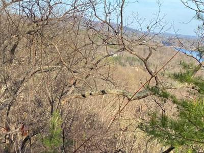 Lake Lure 11 acres - Image# 18