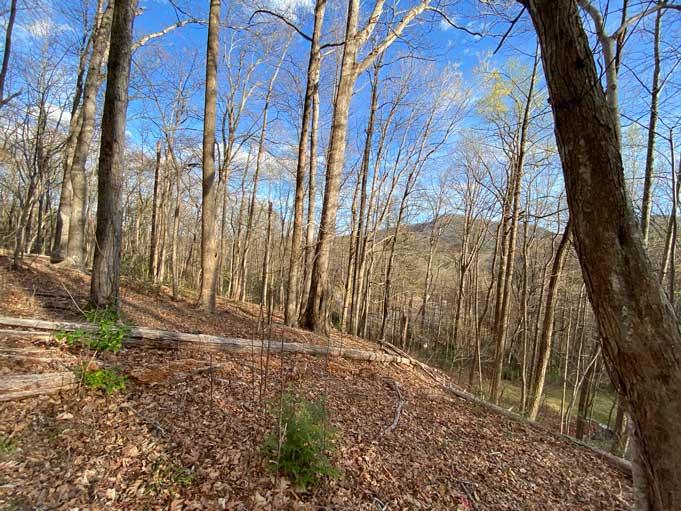 Lake Lure 11 acres - Image# 19