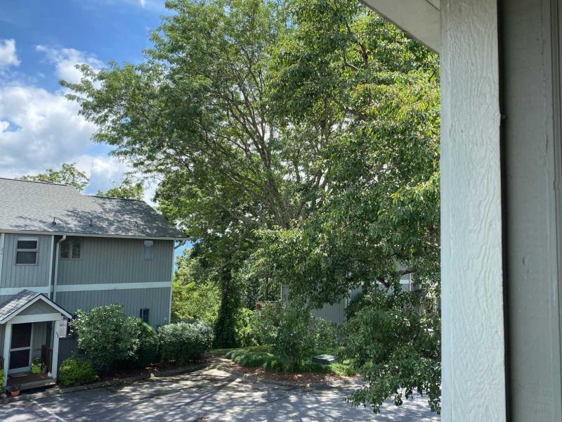 Windswept Views Condo - Image# 3