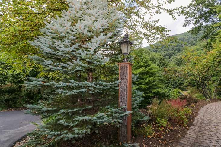 Black Mountain Gem - Image# 3