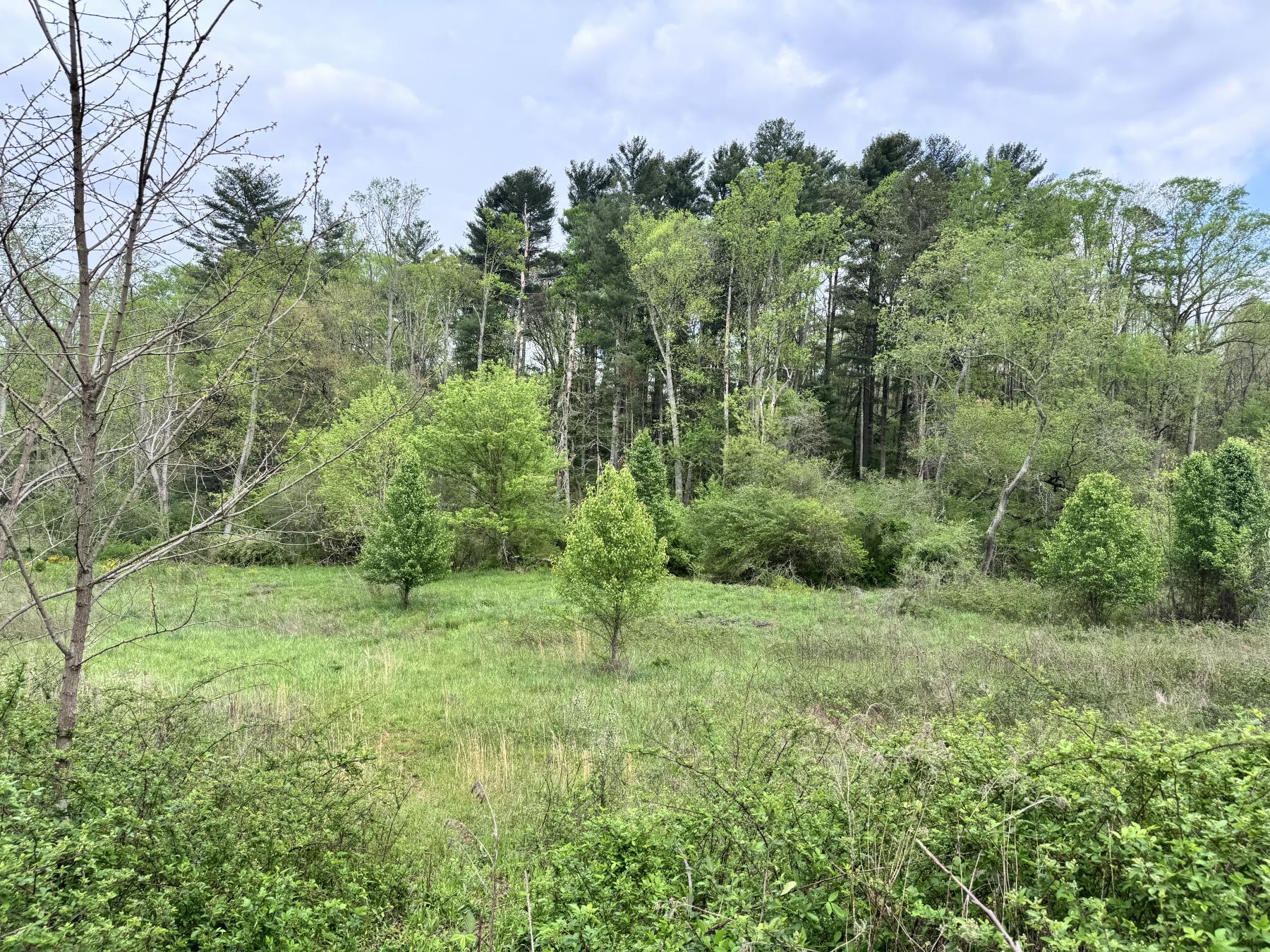 Asheville 28 Acres - Image# 37