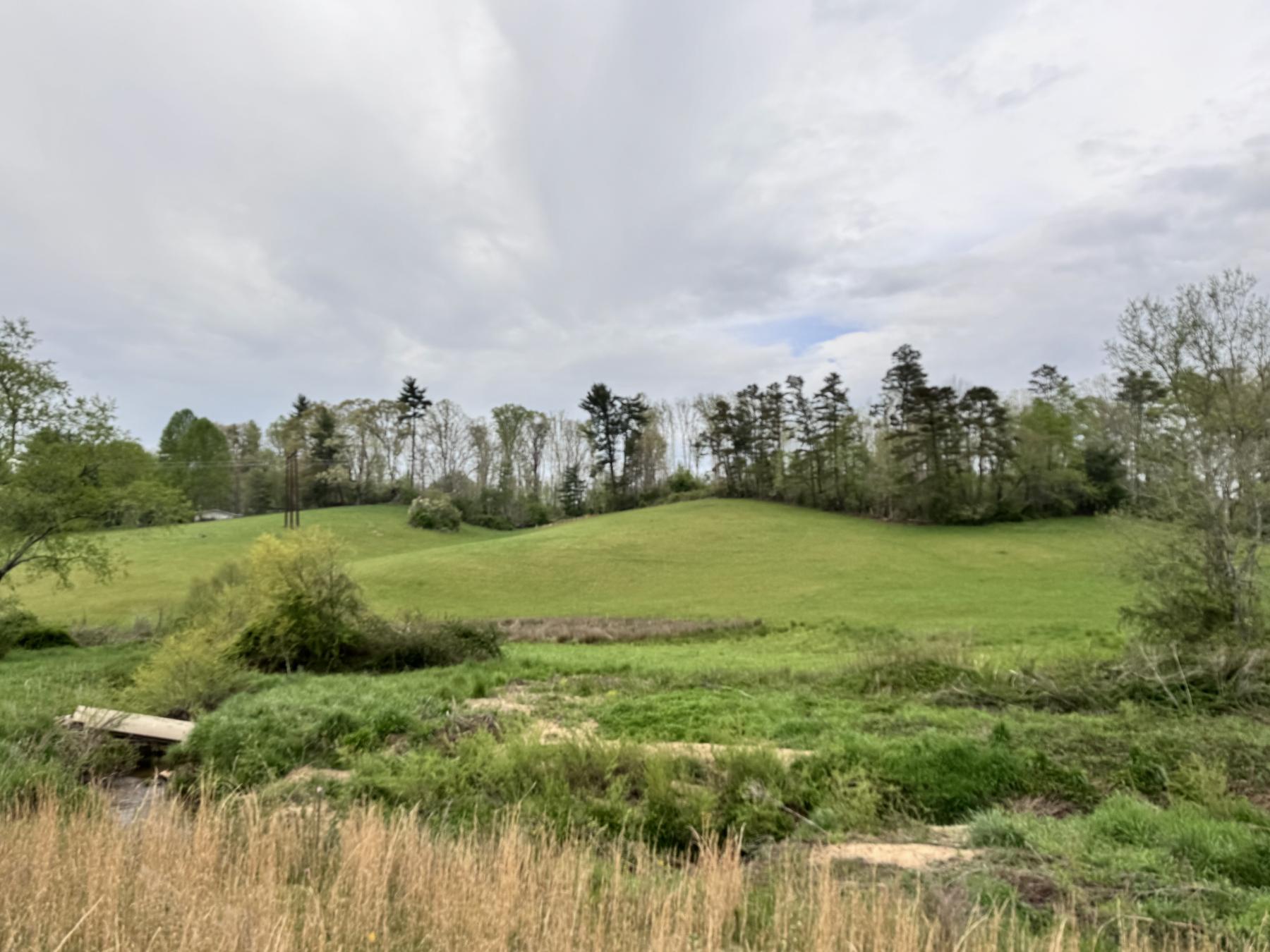 Asheville 28 Acres - Image# 36