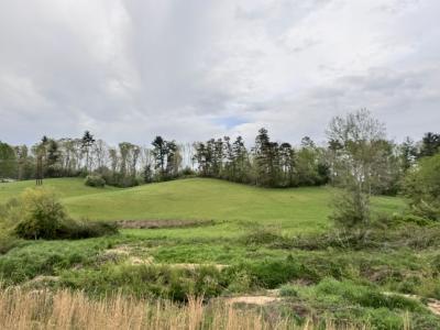 Asheville 28 Acres - Image# 13