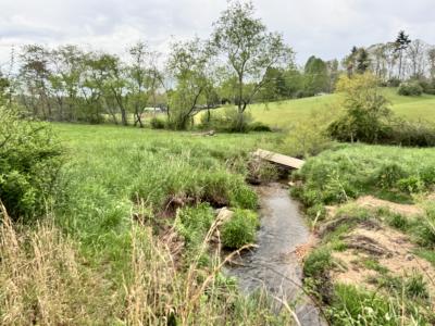 Asheville 28 Acres - Image# 11