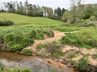 Asheville 28 Acres - Image# 10