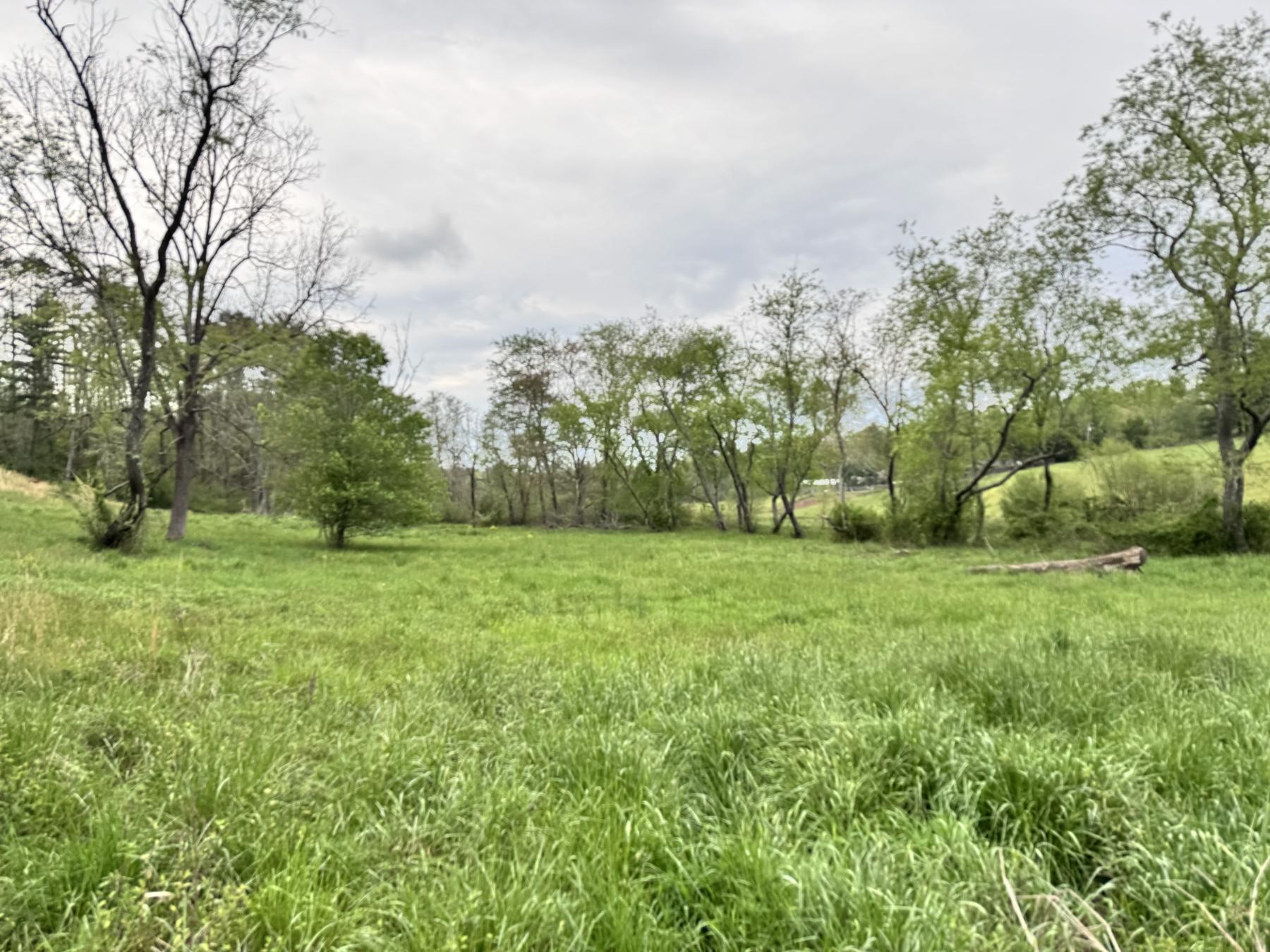 Asheville 28 Acres - Image# 34