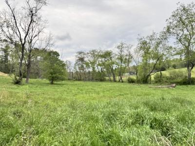 Asheville 28 Acres - Image# 12