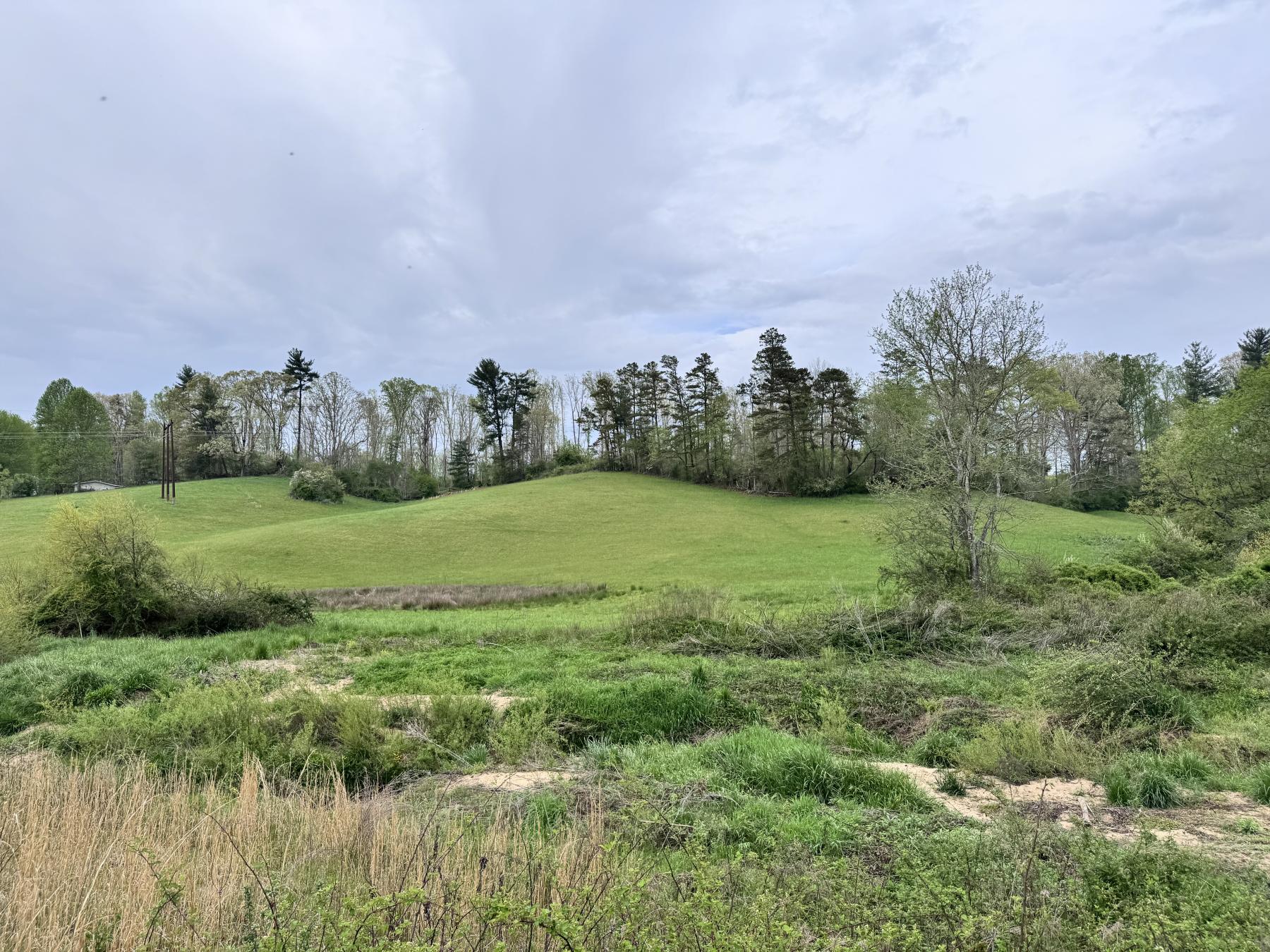 Asheville 28 Acres - Image# 33