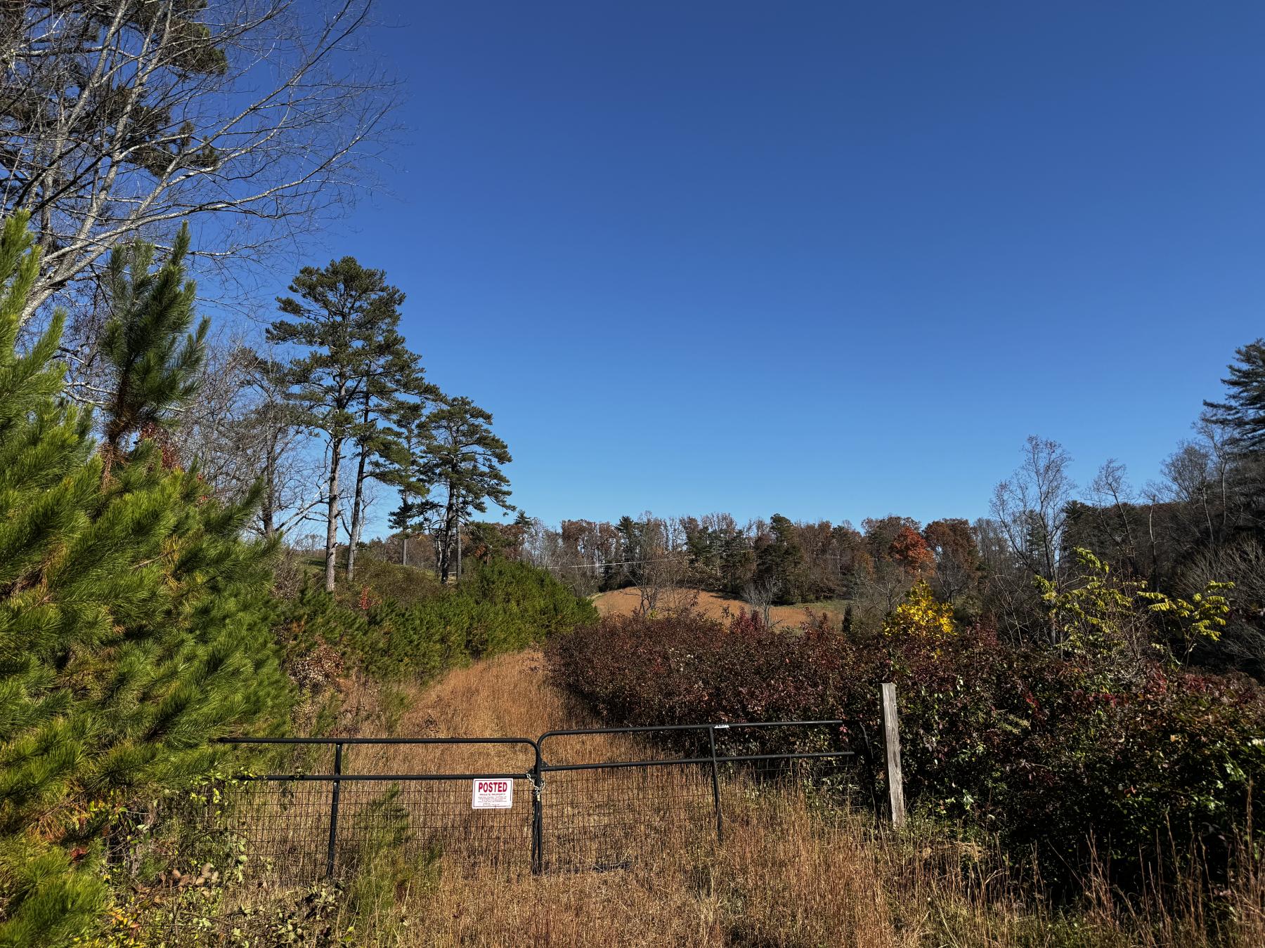 Asheville 28 Acres - Image# 1